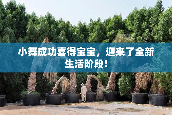小舞成功喜得宝宝，迎来了全新生活阶段！