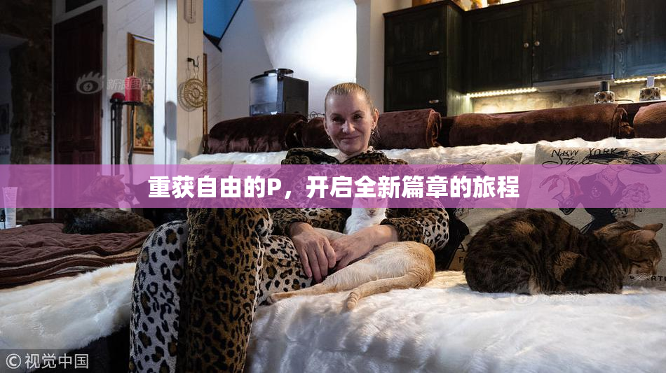 重获自由的P，开启全新篇章的旅程