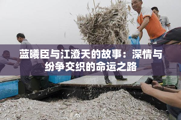 蓝曦臣与江澄天的故事：深情与纷争交织的命运之路