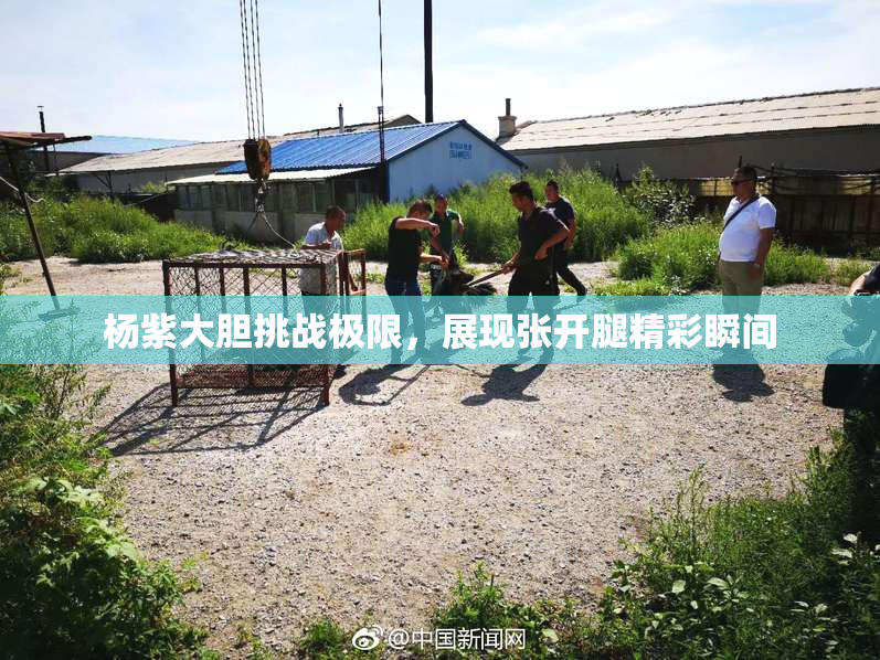 杨紫大胆挑战极限，展现张开腿精彩瞬间