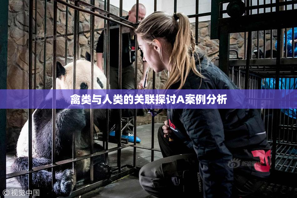 禽类与人类的关联探讨A案例分析