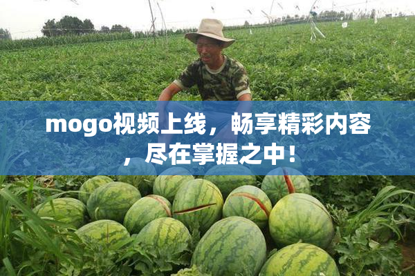 mogo视频上线，畅享精彩内容，尽在掌握之中！