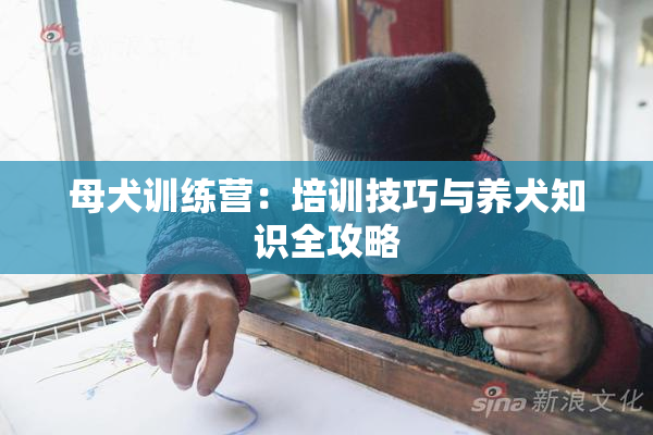 母犬训练营：培训技巧与养犬知识全攻略