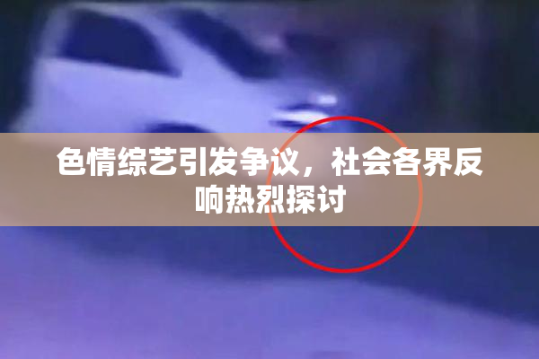 色情综艺引发争议，社会各界反响热烈探讨