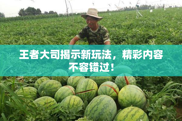 王者大司揭示新玩法，精彩内容不容错过！