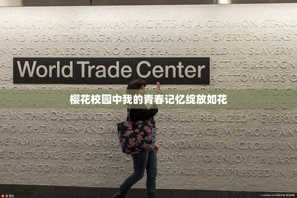 樱花校园中我的青春记忆绽放如花