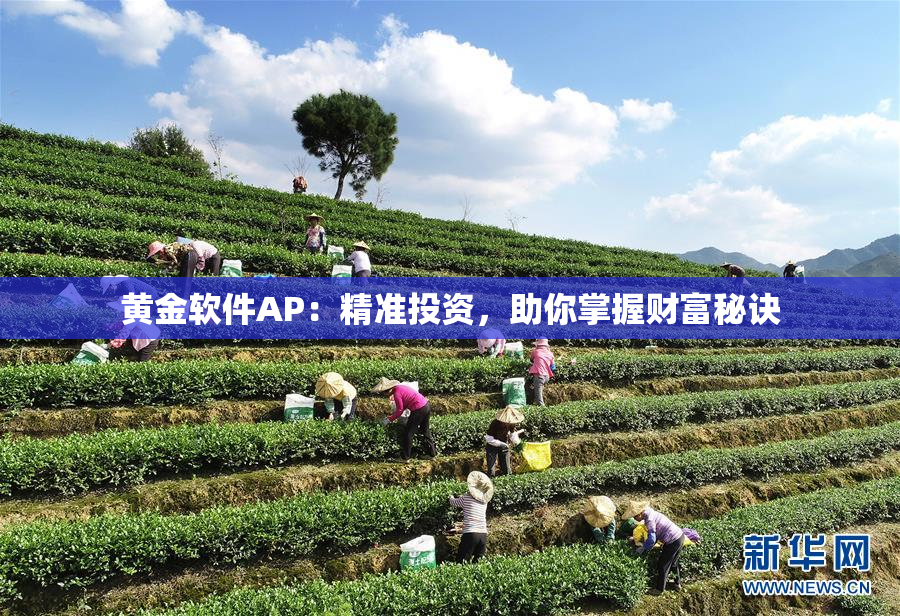 黄金软件AP：精准投资，助你掌握财富秘诀