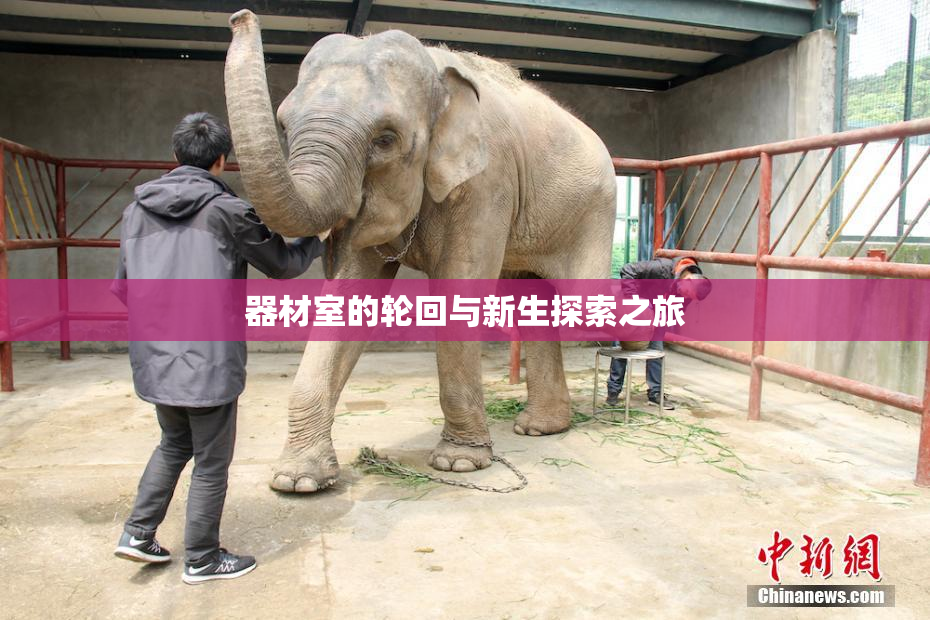 器材室的轮回与新生探索之旅