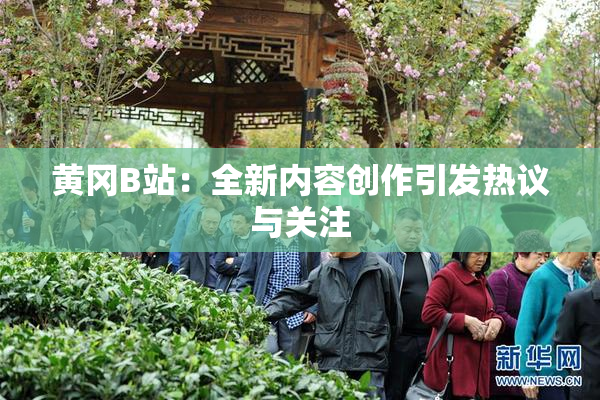 黄冈B站：全新内容创作引发热议与关注
