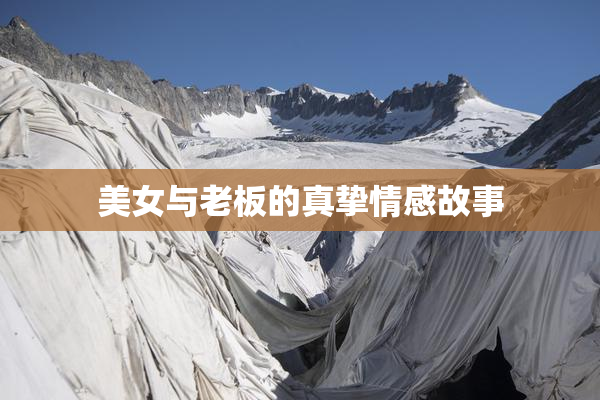 美女与老板的真挚情感故事