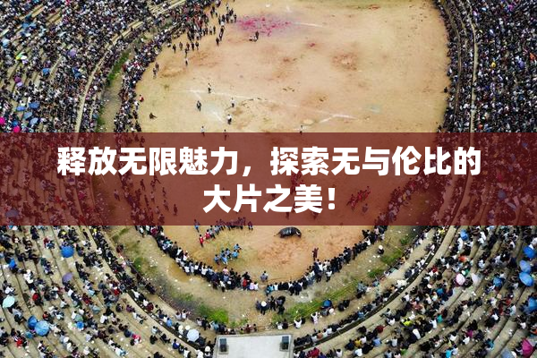 释放无限魅力，探索无与伦比的大片之美！