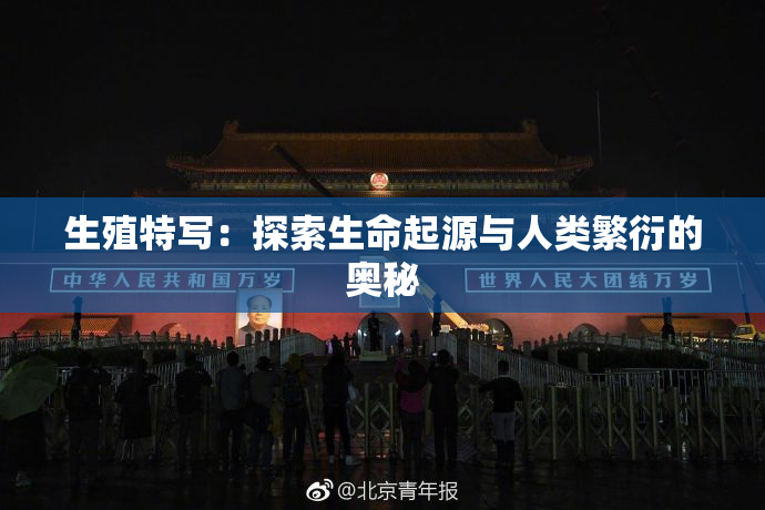 生殖特写：探索生命起源与人类繁衍的奥秘