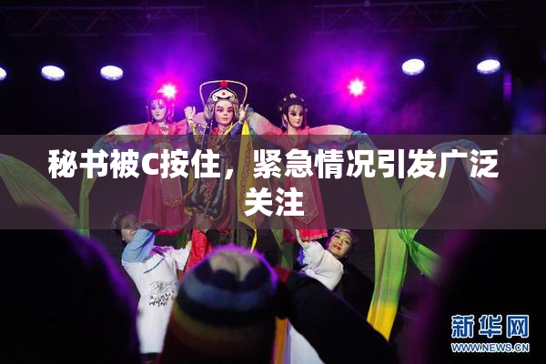 秘书被C按住，紧急情况引发广泛关注