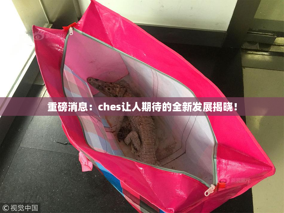 重磅消息：ches让人期待的全新发展揭晓！