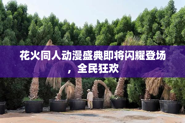 花火同人动漫盛典即将闪耀登场，全民狂欢