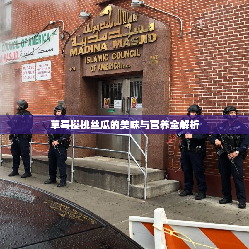草莓樱桃丝瓜的美味与营养全解析