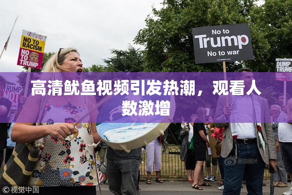 高清鱿鱼视频引发热潮，观看人数激增