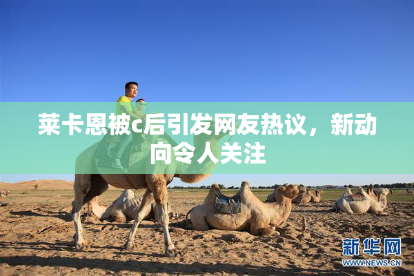 莱卡恩被c后引发网友热议，新动向令人关注