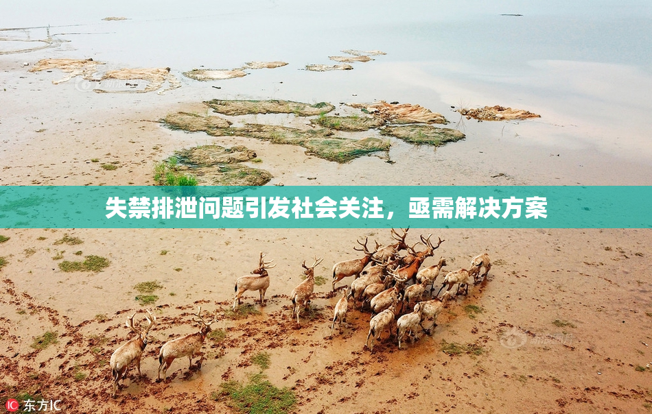 失禁排泄问题引发社会关注，亟需解决方案
