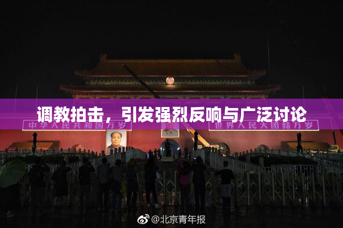 调教拍击，引发强烈反响与广泛讨论