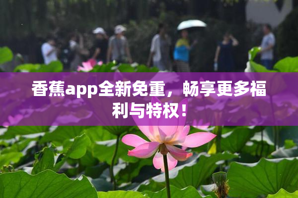 香蕉app全新免重，畅享更多福利与特权！