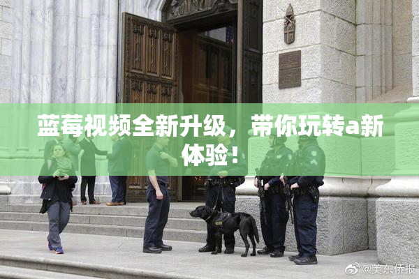 蓝莓视频全新升级，带你玩转a新体验！