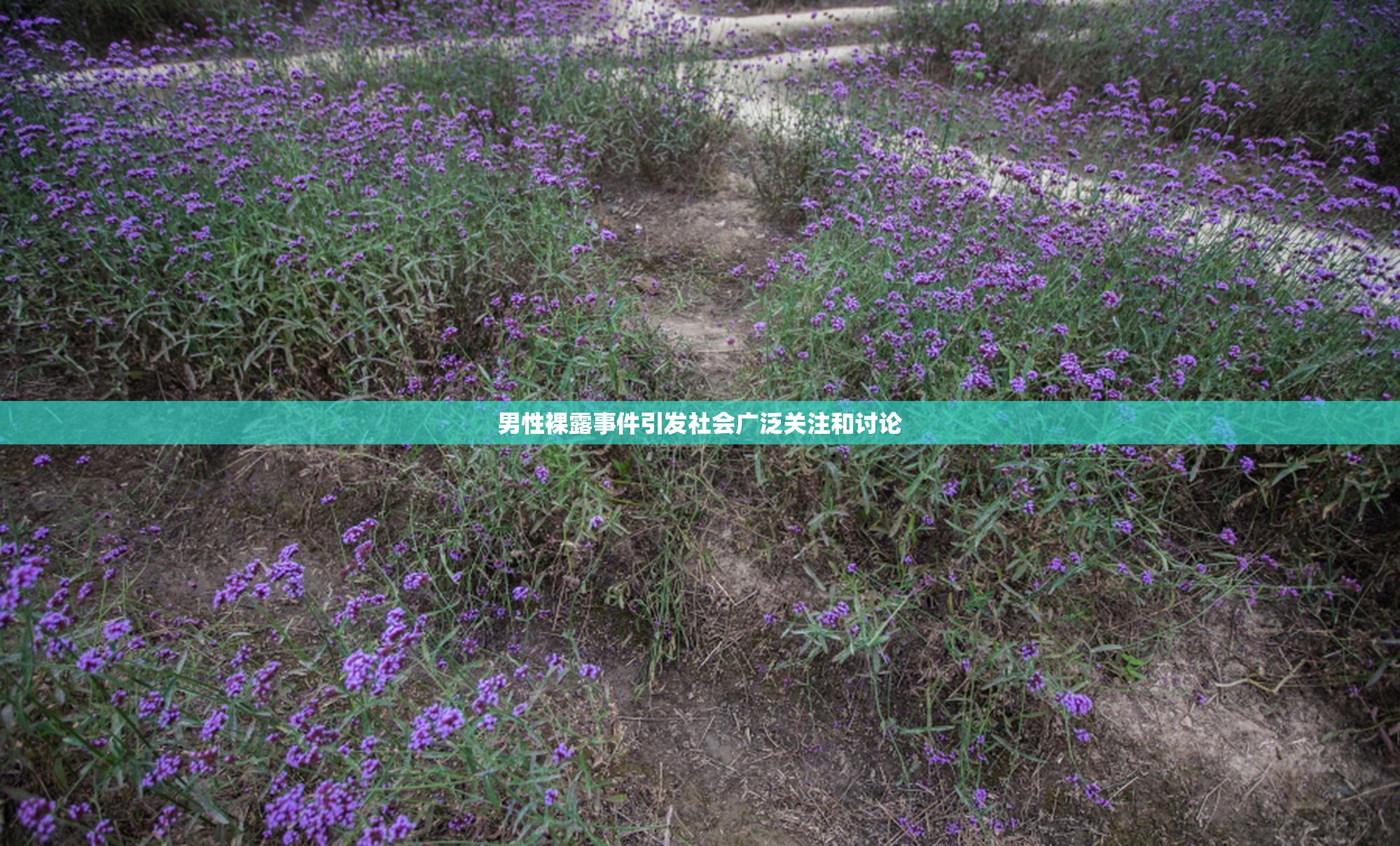 男性裸露事件引发社会广泛关注和讨论