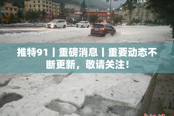 推特91丨重磅消息丨重要动态不断更新，敬请关注！