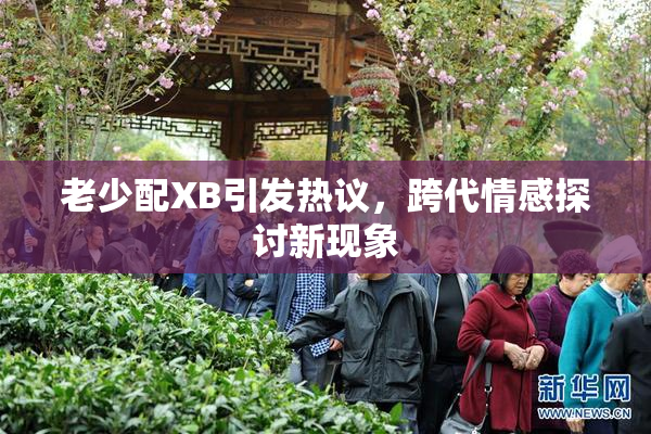 老少配XB引发热议，跨代情感探讨新现象