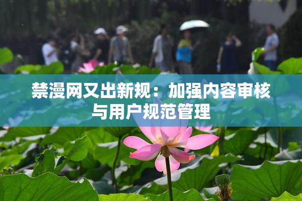 禁漫网又出新规：加强内容审核与用户规范管理