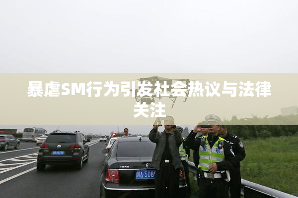 暴虐SM行为引发社会热议与法律关注