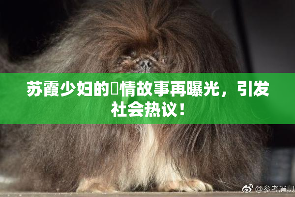 苏霞少妇的婬情故事再曝光，引发社会热议！