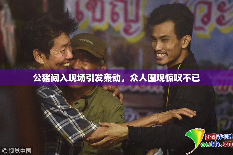 公猪闯入现场引发轰动，众人围观惊叹不已