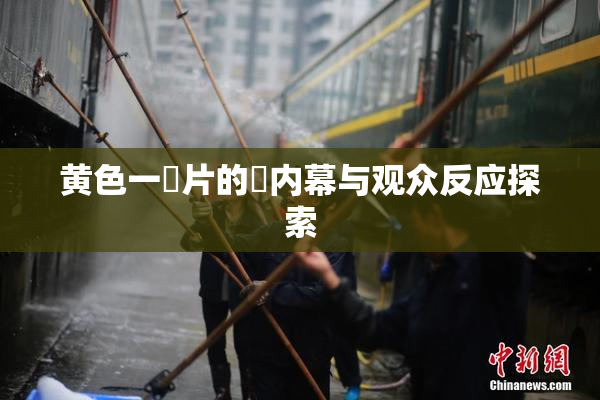 黄色一級片的黃内幕与观众反应探索