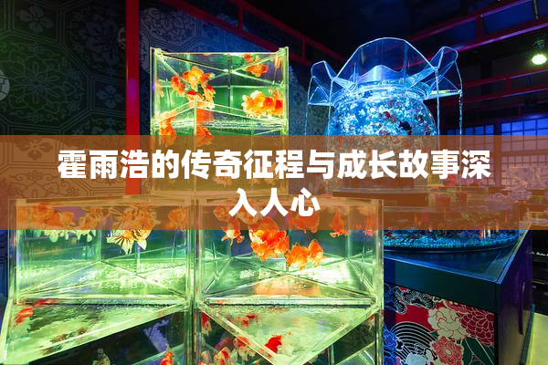 霍雨浩的传奇征程与成长故事深入人心