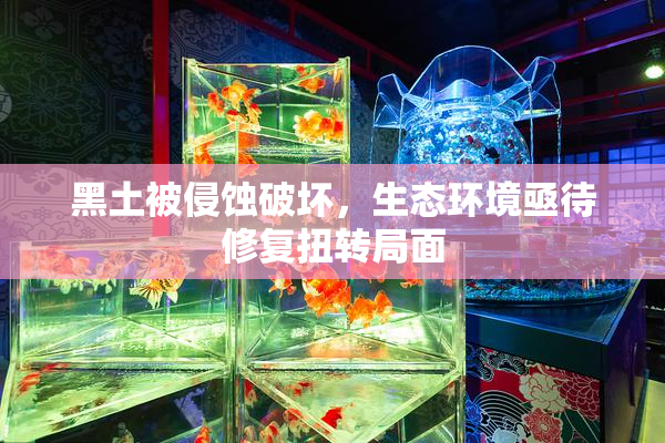 黑土被侵蚀破坏，生态环境亟待修复扭转局面