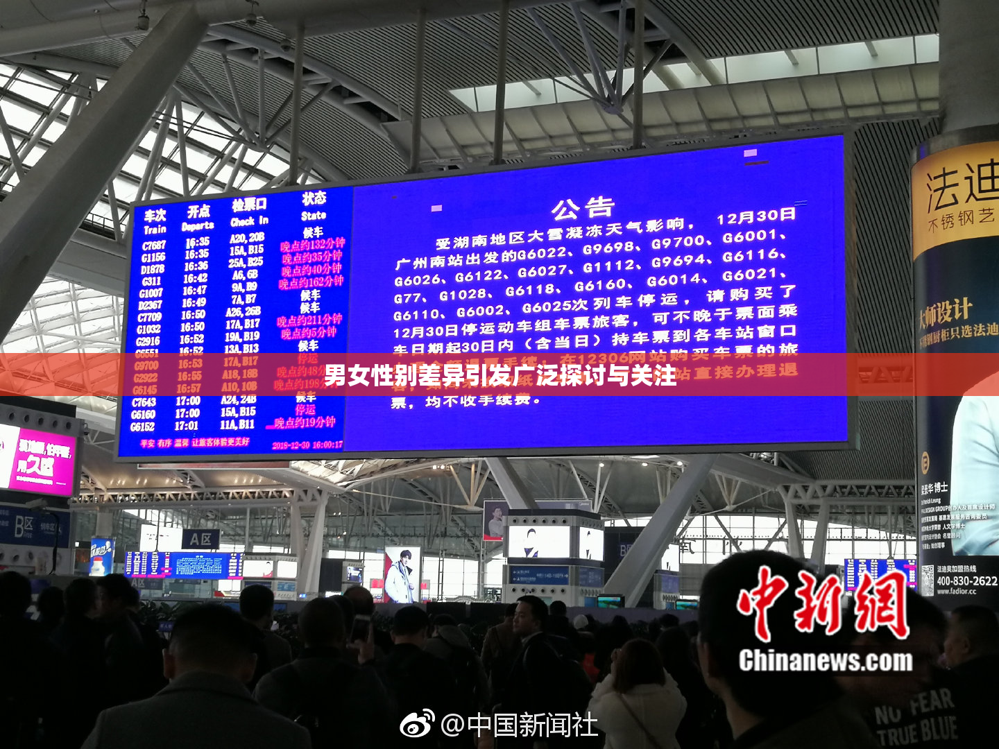 男女性别差异引发广泛探讨与关注