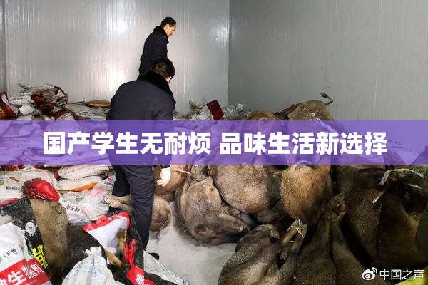 国产学生无耐烦 品味生活新选择