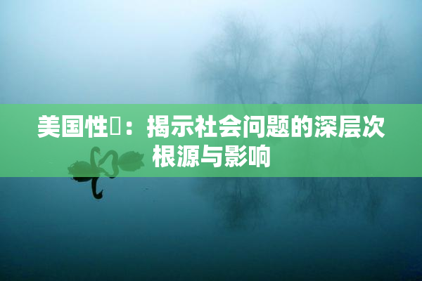 美国性婬：揭示社会问题的深层次根源与影响