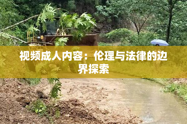 视频成人内容：伦理与法律的边界探索