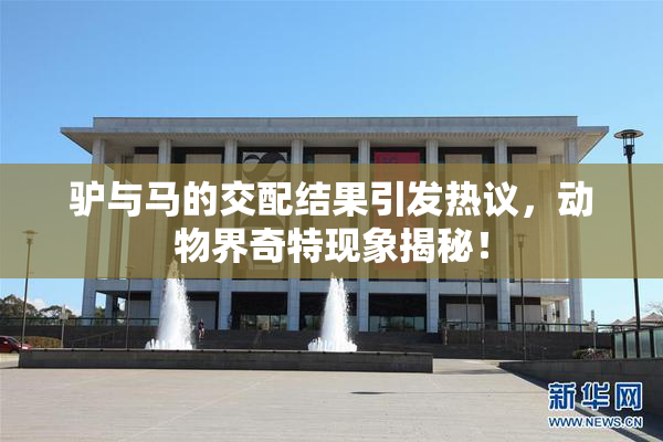 驴与马的交配结果引发热议，动物界奇特现象揭秘！