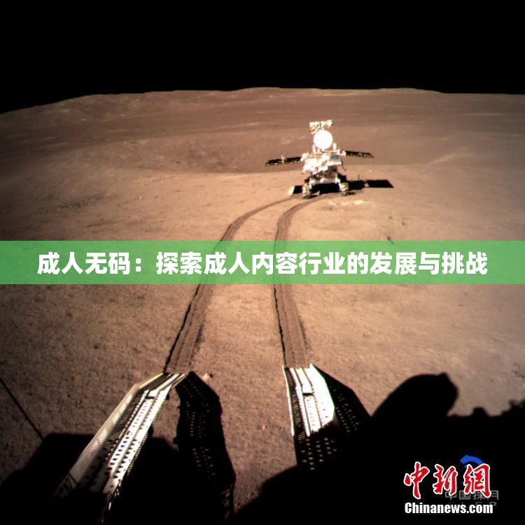 成人无码：探索成人内容行业的发展与挑战