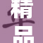 精品伊人：品质与魅力的完美结合，尽享生活之美