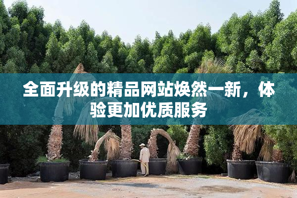 全面升级的精品网站焕然一新，体验更加优质服务