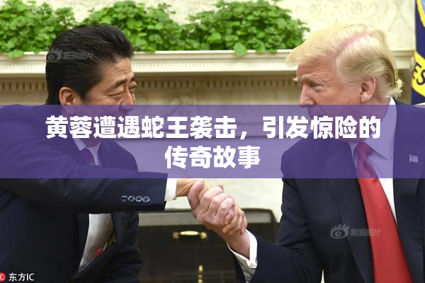 黄蓉遭遇蛇王袭击，引发惊险的传奇故事