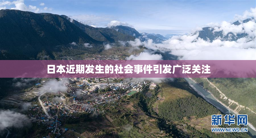 日本近期发生的社会事件引发广泛关注