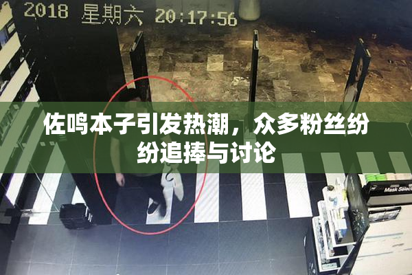 佐鸣本子引发热潮，众多粉丝纷纷追捧与讨论