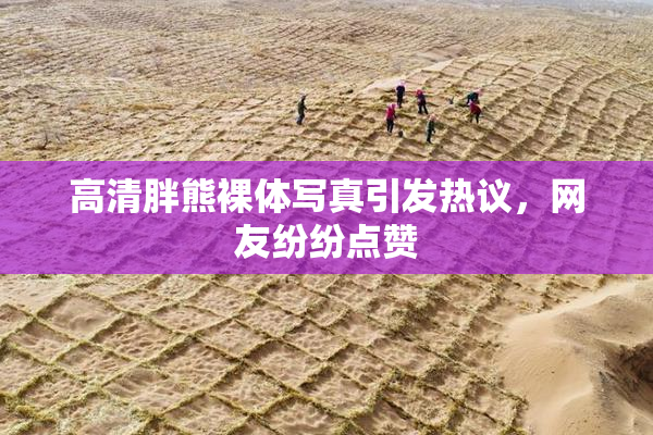 高清胖熊裸体写真引发热议，网友纷纷点赞