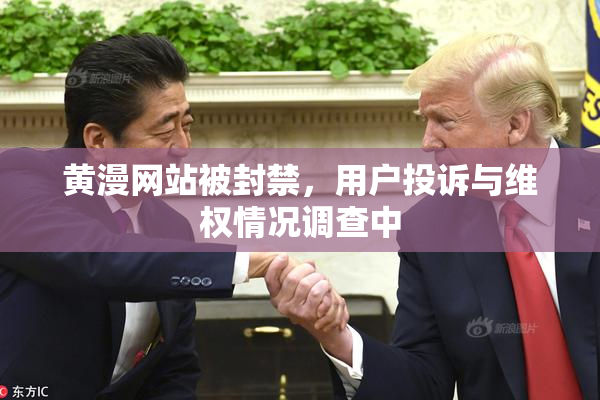 黄漫网站被封禁，用户投诉与维权情况调查中