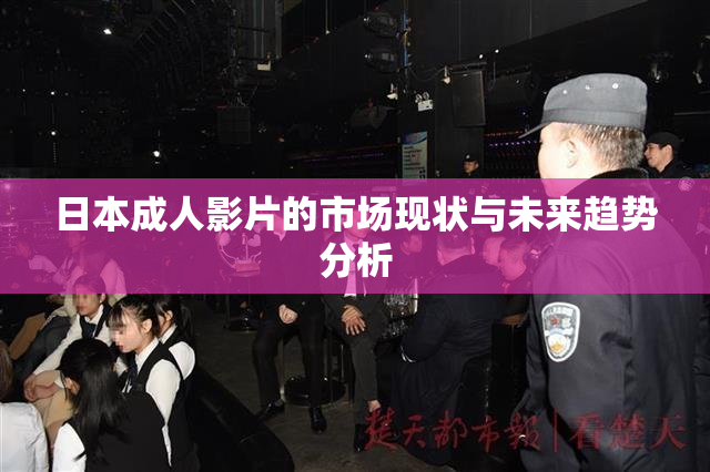 日本成人影片的市场现状与未来趋势分析